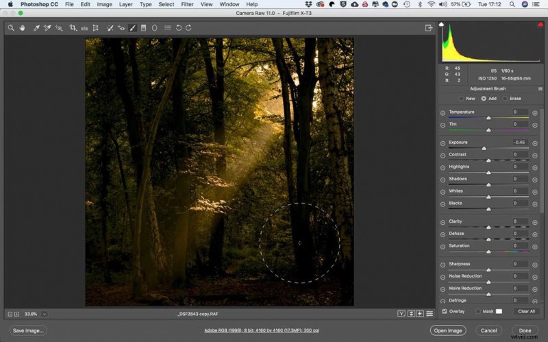 Fujifilm X-T3: Capturing and Editing Stunning Woodland Sunbeams