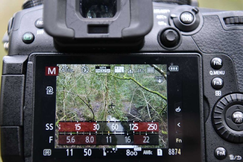 Master Video Exposure: ISO, Shutter Speed, Aperture & 180° Rule Guide