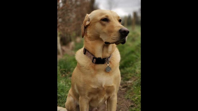 Master Huawei P30 Pro Aperture Mode: Ultimate Guide to DSLR-Like Depth of Field