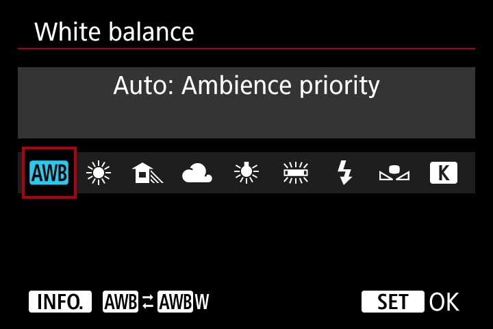 Master Camera White Balance for Professional Video Shoots: Expert Guide