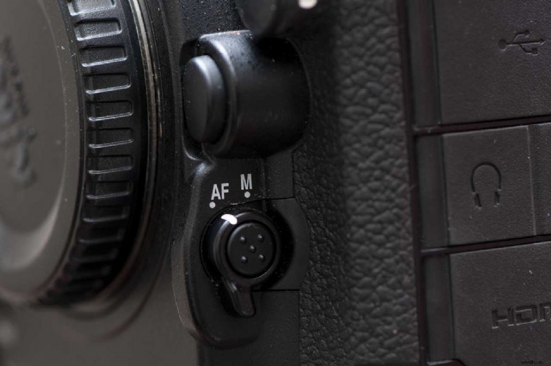 Expert Guide: Capturing Birds in Flight with Nikon Cameras