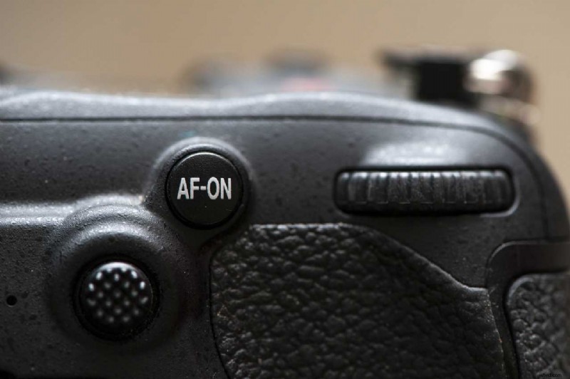 Expert Guide: Capturing Birds in Flight with Nikon Cameras