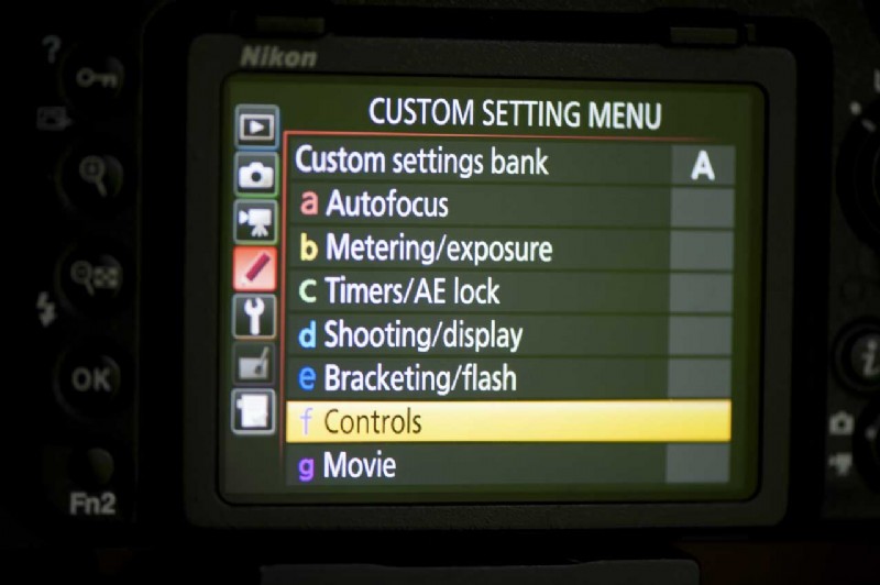 Expert Guide: Capturing Birds in Flight with Nikon Cameras