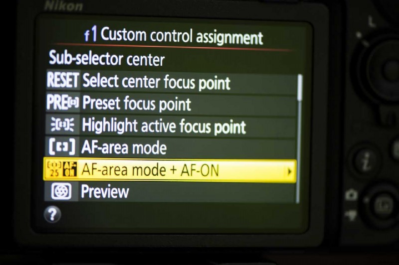 Expert Guide: Capturing Birds in Flight with Nikon Cameras