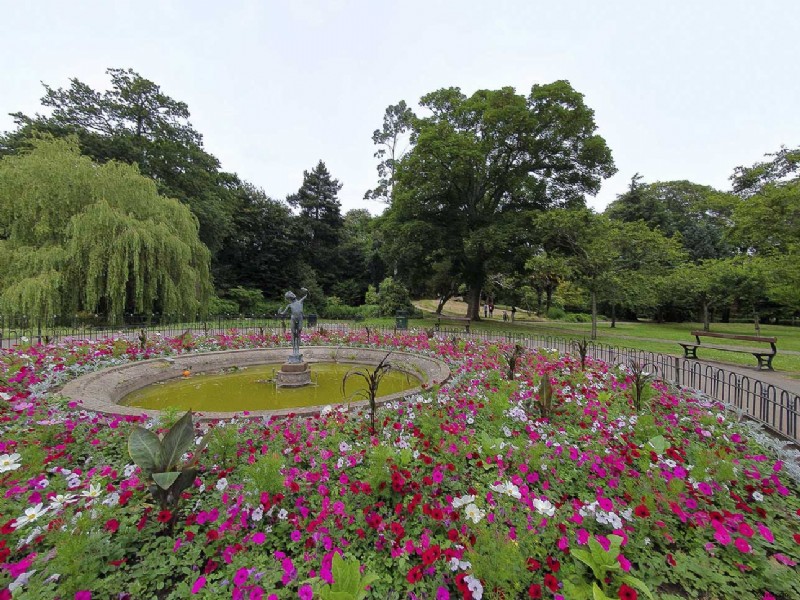 Master the Samsung Galaxy S10 Triple Camera: Guide to Each Lens