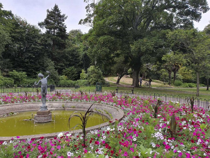 Master the Samsung Galaxy S10 Triple Camera: Guide to Each Lens