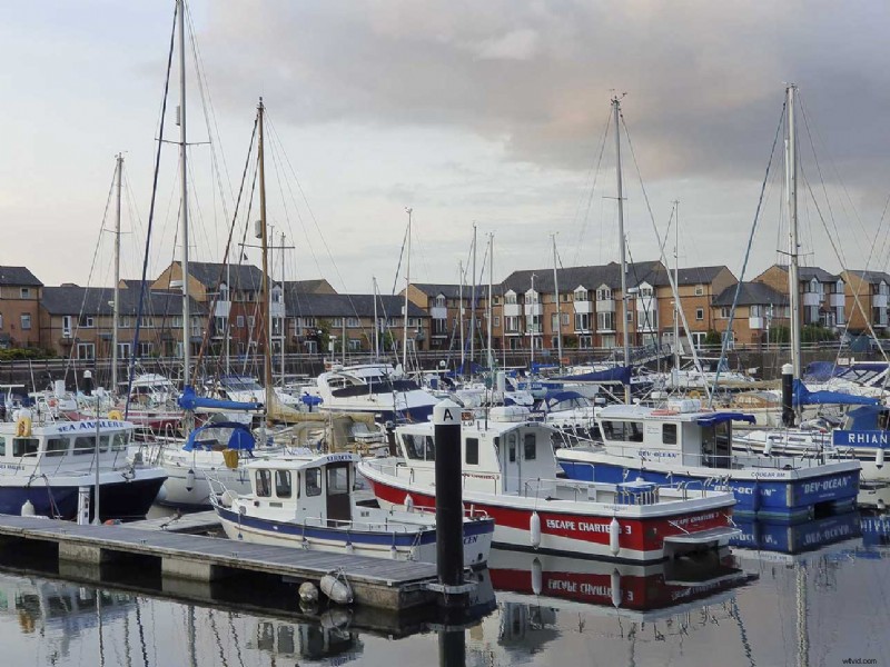 Master the Samsung Galaxy S10 Triple Camera: Guide to Each Lens