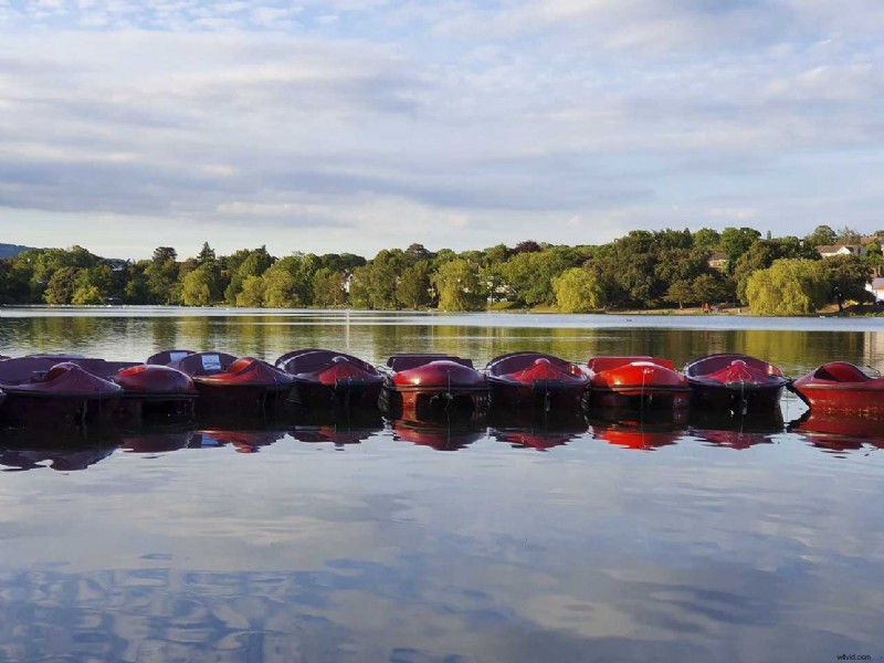 Master the Samsung Galaxy S10 Triple Camera: Guide to Each Lens