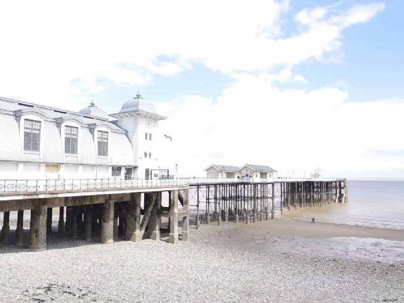 Master Sony Xperia 1 Manual Camera Mode: Pro Photography Guide