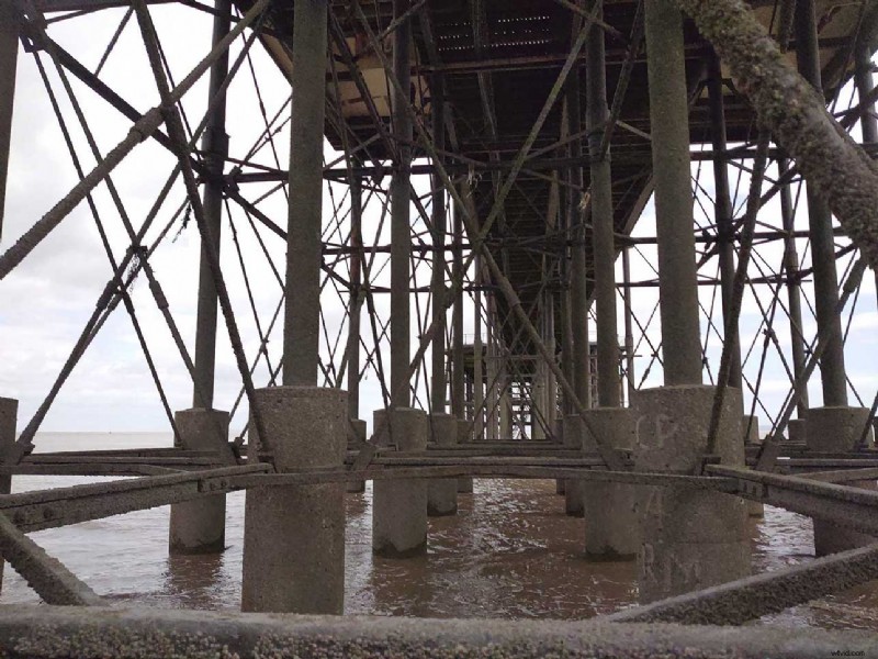 Master Sony Xperia 1 Manual Camera Mode: Pro Photography Guide