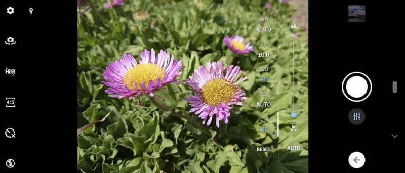 Master Sony Xperia 1 Manual Camera Mode: Pro Photography Guide