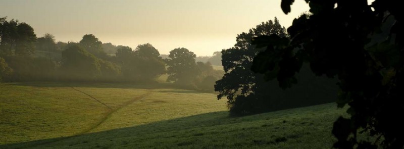 Master Fujifilm Film Simulations: Applying Modes to RAW Files for Pro Results