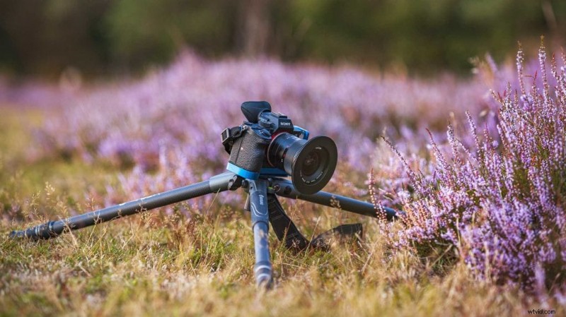 Master Tripod Usage: Expert Tips for Sharp, Stable Photography