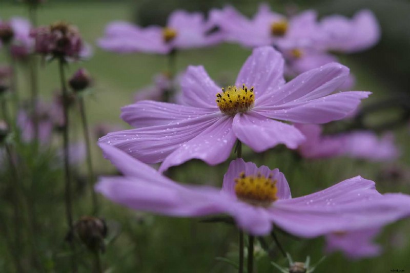 Master Photography: Sample Photos with Pro Camera Settings for Every Scenario