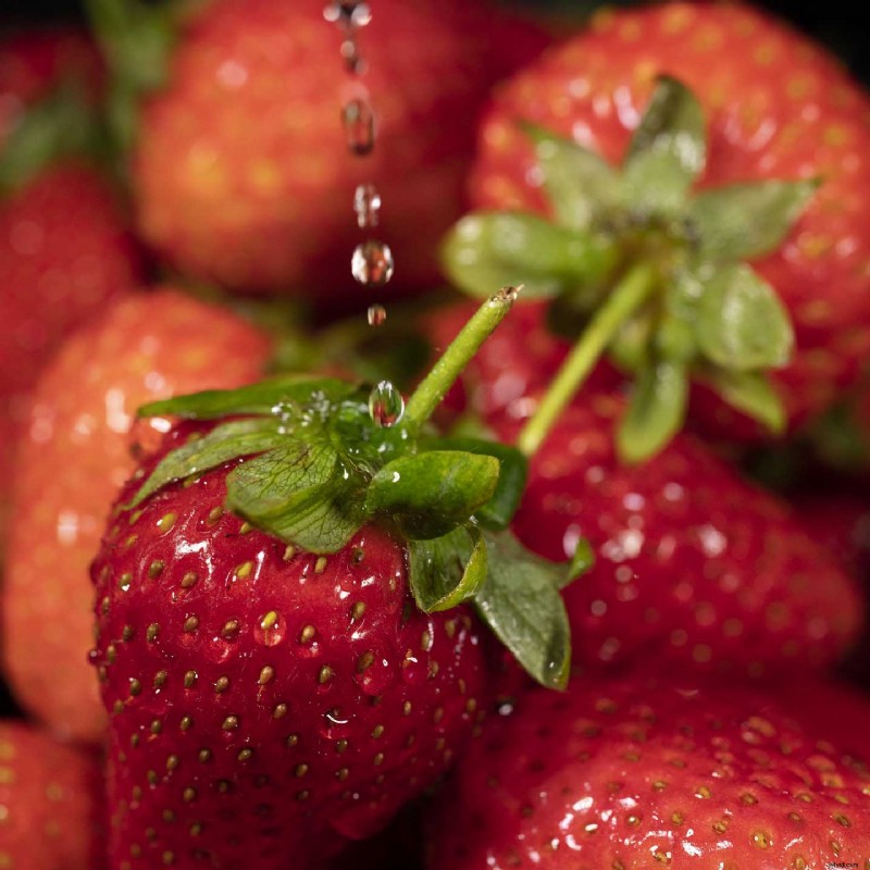 Master Photography: Sample Photos with Pro Camera Settings for Every Scenario