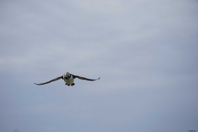 Master Photography: Sample Photos with Pro Camera Settings for Every Scenario