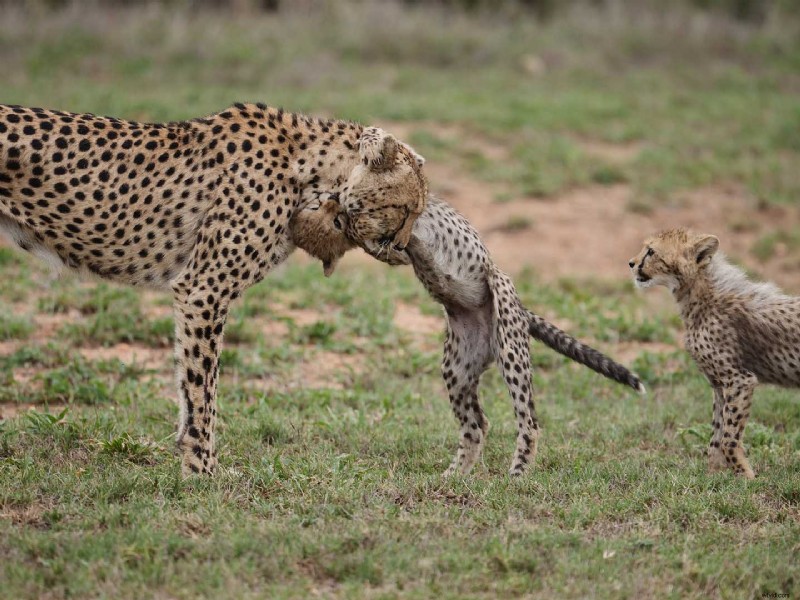 Master Photography: Sample Photos with Pro Camera Settings for Every Scenario