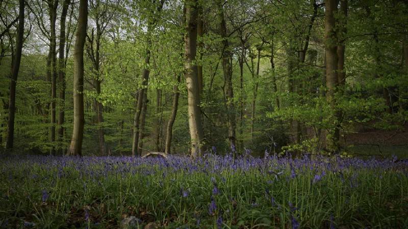 Master Photography: Sample Photos with Pro Camera Settings for Every Scenario