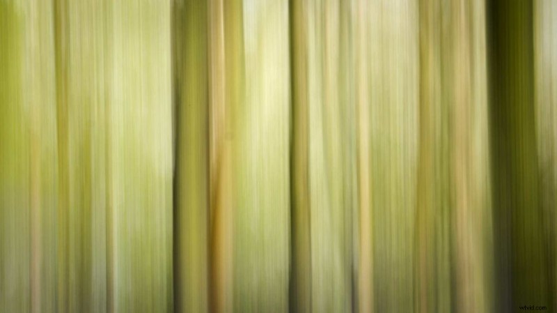 Creative At-Home Photography Projects for Lockdown Inspiration