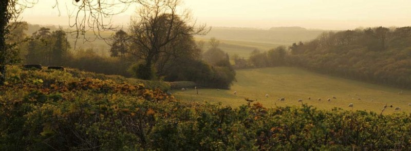 How to Master Aspect Ratios on Your Panasonic Camera for Pro Results