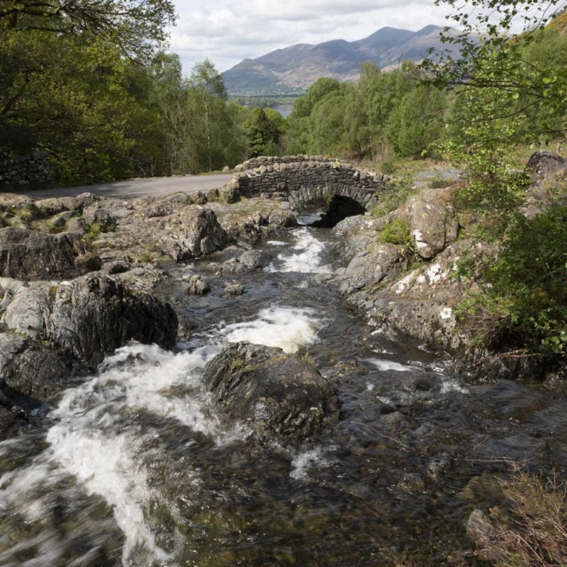 How to Master Aspect Ratios on Your Panasonic Camera for Pro Results