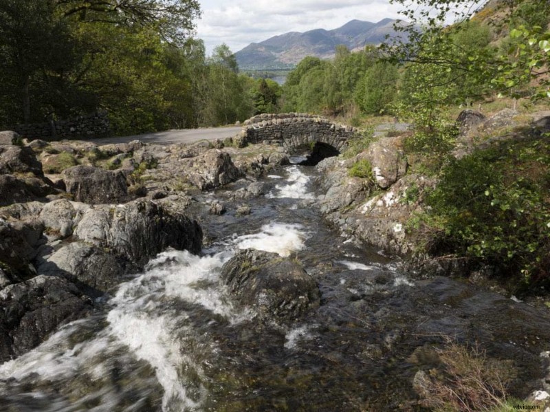 How to Master Aspect Ratios on Your Panasonic Camera for Pro Results