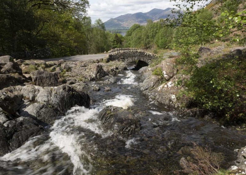 How to Master Aspect Ratios on Your Panasonic Camera for Pro Results