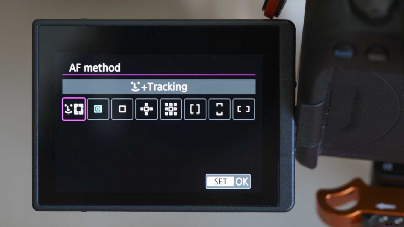 Master Canon Eye Detection AF: Step-by-Step Guide for EOS R6, R5 & More