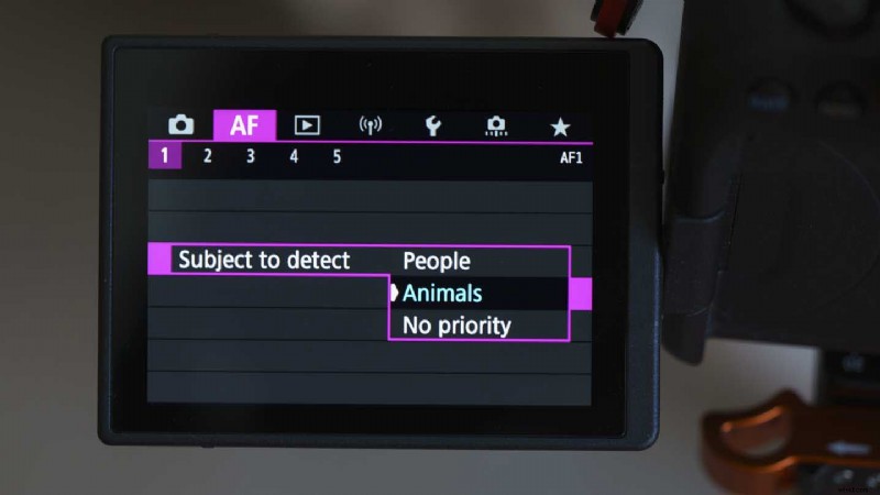 Master Canon Eye Detection AF: Step-by-Step Guide for EOS R6, R5 & More