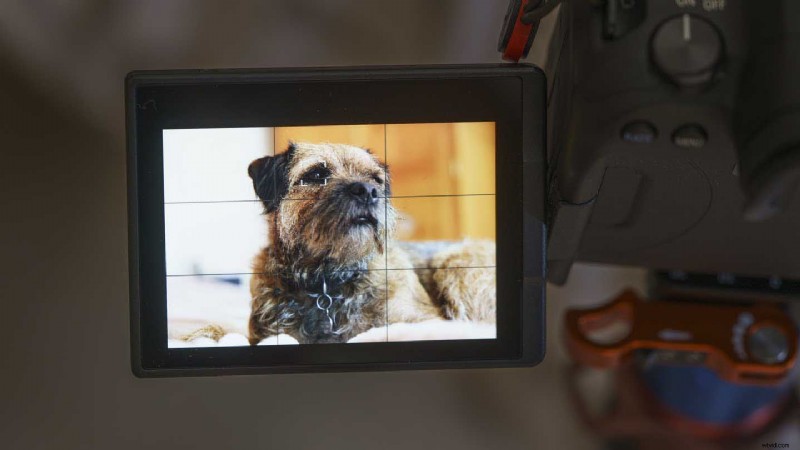 Master Canon Eye Detection AF: Step-by-Step Guide for EOS R6, R5 & More