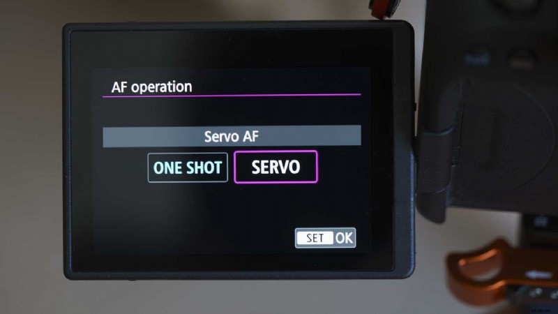 Master Canon Eye Detection AF: Step-by-Step Guide for EOS R6, R5 & More