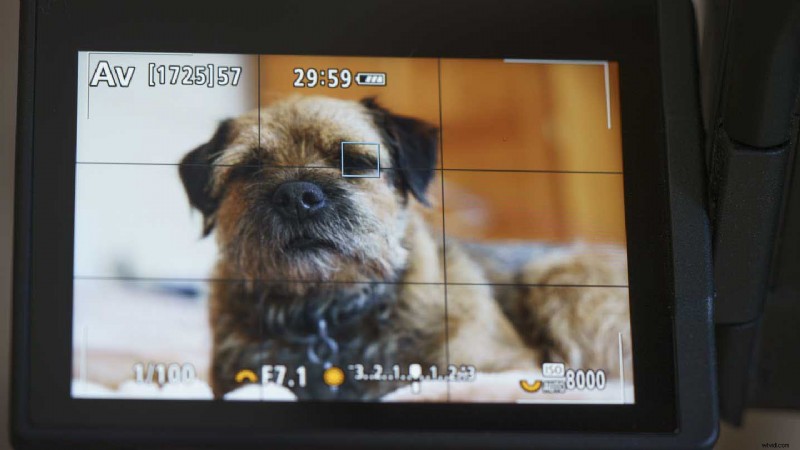 Master Canon Eye Detection AF: Step-by-Step Guide for EOS R6, R5 & More