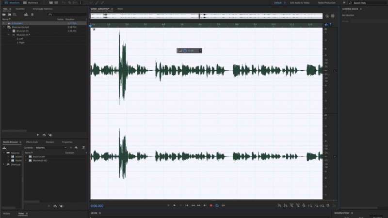 How to Clean Audio for Professional Videos: Expert Tips & Microphone Guide
