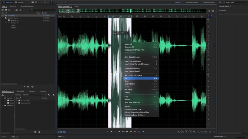 How to Clean Audio for Professional Videos: Expert Tips & Microphone Guide