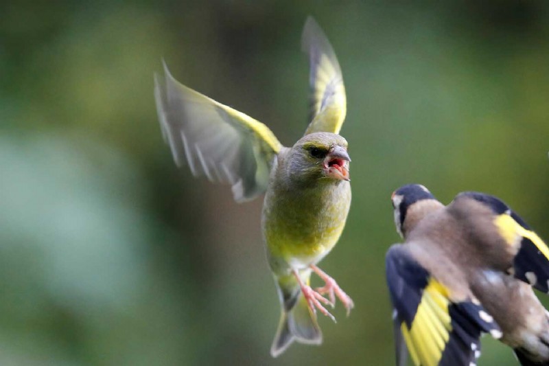 Telephoto Lens Guide: What It Is and When to Use It for Stunning Shots