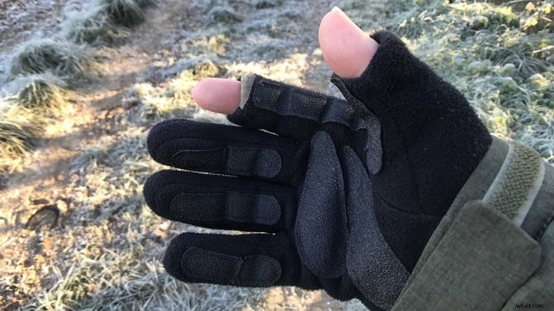 7 Quick Tips for Stunning Frost Photography