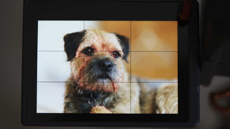 Master Lensbaby Lenses: Expert Guide to Composer Pro II, Spark 2.0, Edge 35 & More