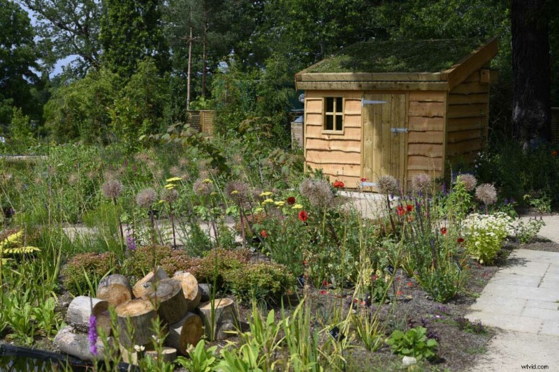 Master Nikon s Picture Controls: Complete Guide to Stunning JPEGs