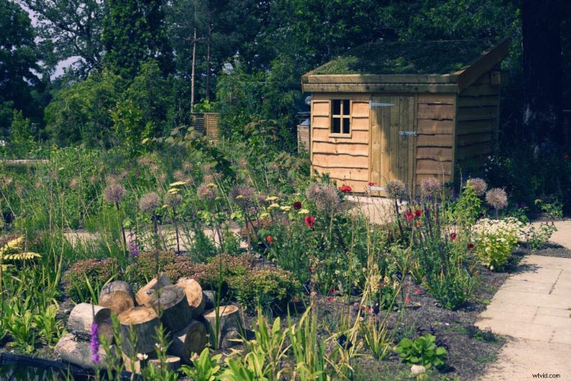 Master Nikon s Picture Controls: Complete Guide to Stunning JPEGs