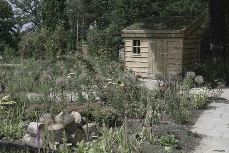 Master Nikon s Picture Controls: Complete Guide to Stunning JPEGs