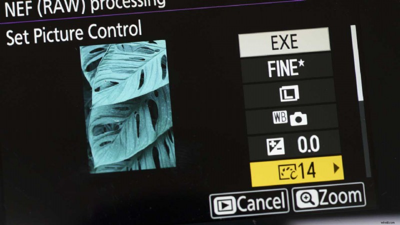 Master Nikon s Picture Controls: Complete Guide to Stunning JPEGs