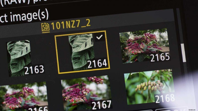 Master Nikon s Picture Controls: Complete Guide to Stunning JPEGs