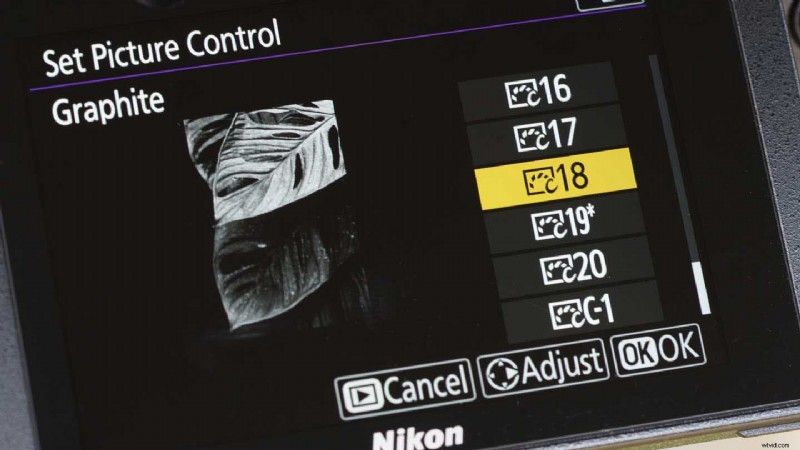 Master Nikon s Picture Controls: Complete Guide to Stunning JPEGs