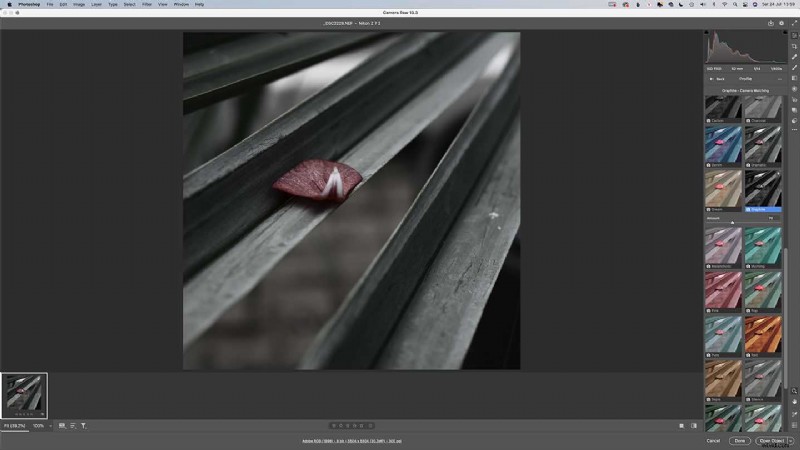 Master Nikon s Picture Controls: Complete Guide to Stunning JPEGs