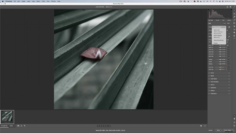 Master Nikon s Picture Controls: Complete Guide to Stunning JPEGs