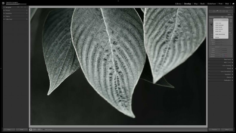 Master Nikon s Picture Controls: Complete Guide to Stunning JPEGs
