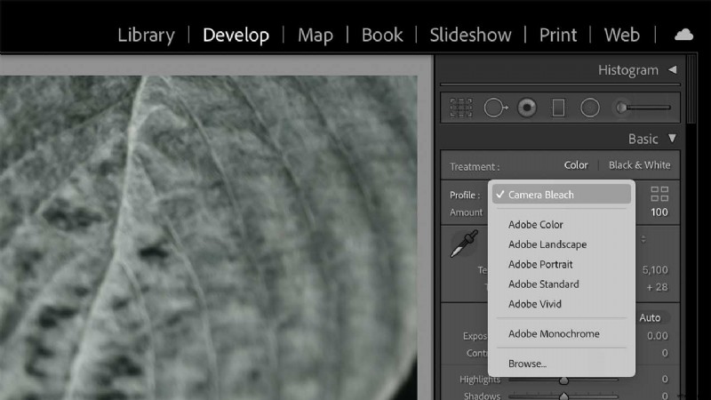Master Nikon s Picture Controls: Complete Guide to Stunning JPEGs