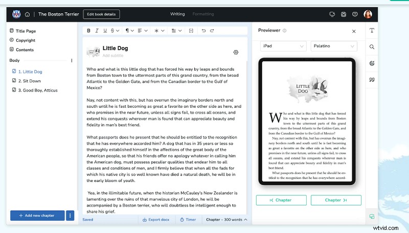 Top AI Novel Writing Software: Boost Creativity & Productivity