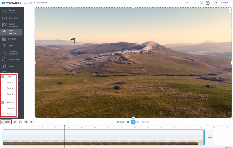 Easy Voice-Over Guide: Add Professional Audio to Your Videos Online