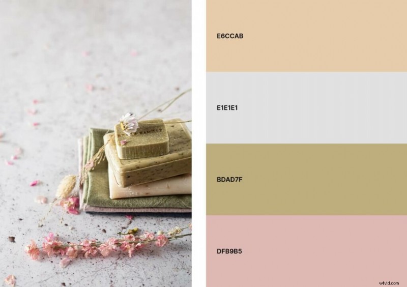 Pastel Colors in Design: A Comprehensive Guide with Color Codes & Examples